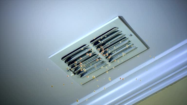Best HVAC Air Duct Cleaning  in , KS